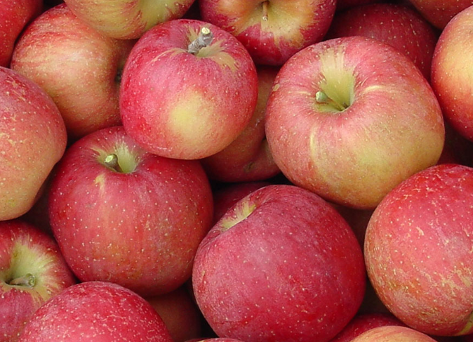 apples-evercrisp-3-lb